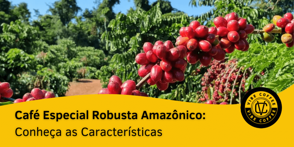 Café Especial Robusta Amazônico: Conheça as Características