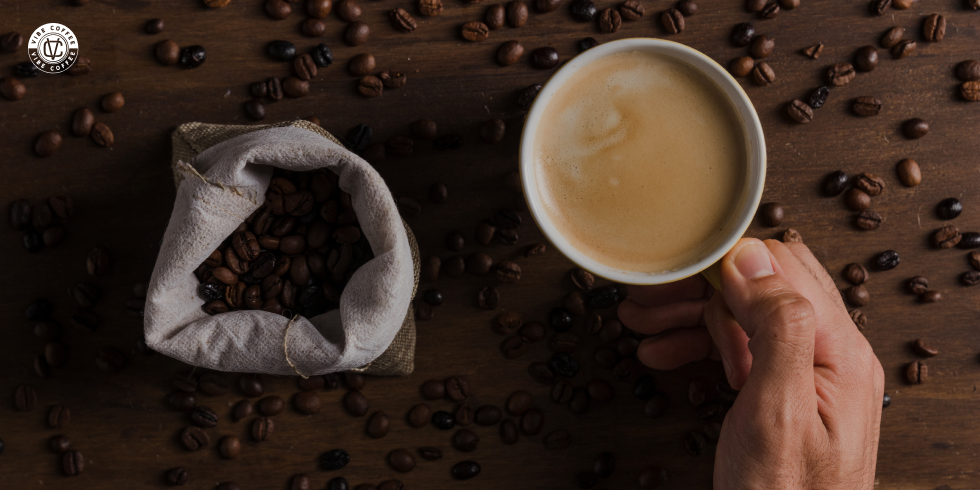 Café Especial x Café Tradicional: Entenda as Diferenças