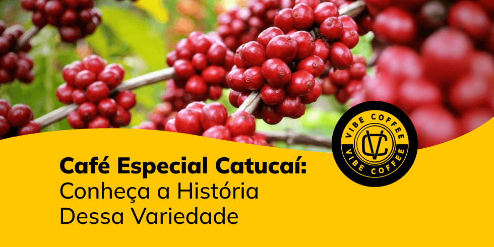 Café Especial Catucaí: Conheça a História Dessa Variedade