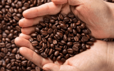 O Que São os “Cafés Especiais” e Como a Torra Afeta Suas Características?
