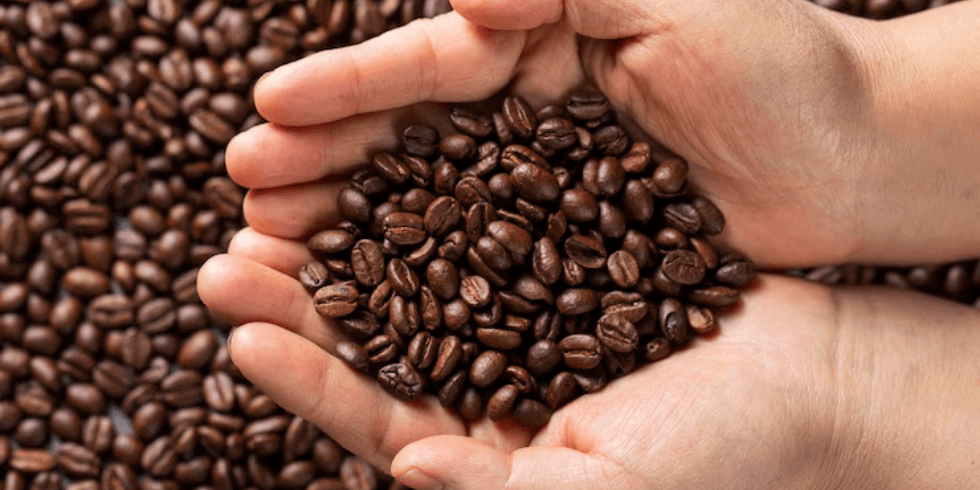 O Que São os “Cafés Especiais” e Como a Torra Afeta Suas Características?