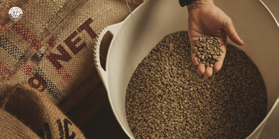 Como Reconhecer a Qualidade de um Café Especial: Dicas para Iniciantes