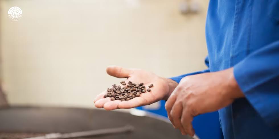 Torra Média: O Equilíbrio Perfeito no Mundo dos Cafés Especiais