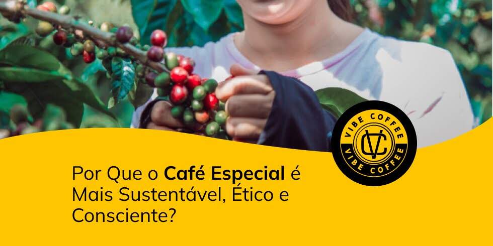 Por Que o Café Especial é Mais Sustentável, Ético e Consciente?