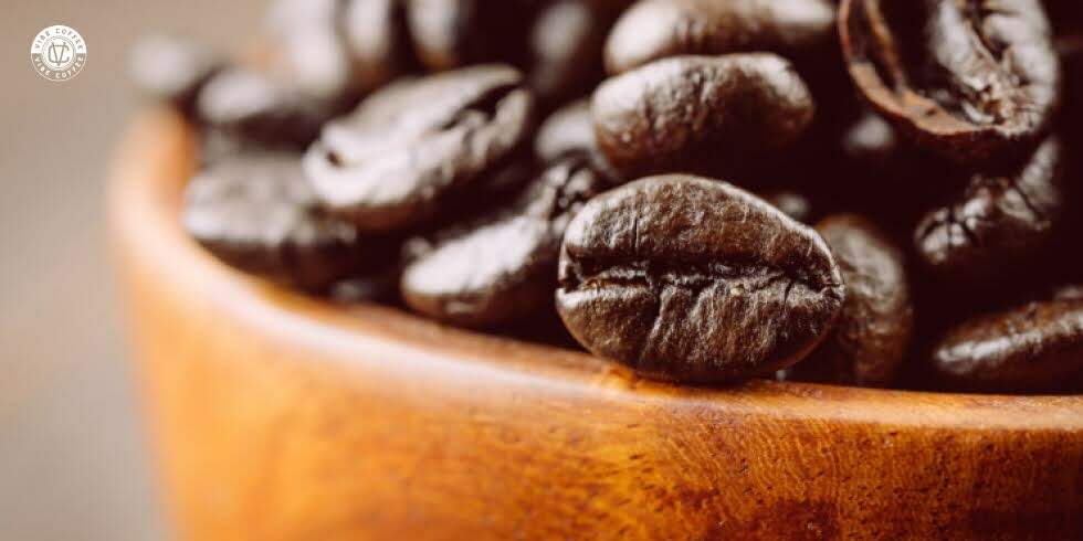 Por Que o Café Especial é Mais Sustentável, Ético e Consciente?