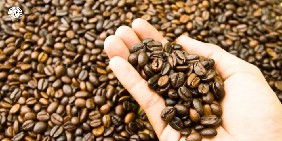 Cafés em Grão Vibe Coffee: Qualidade e Sabor que Você Sente a Cada Xícara 
