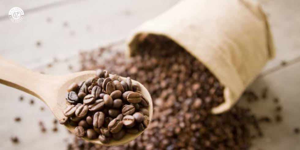 Cafés em Grão Vibe Coffee: Qualidade e Sabor que Você Sente a Cada Xícara 
