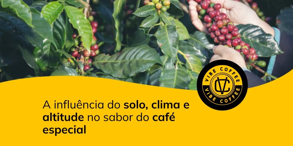 A influência do solo, clima e altitude no sabor do café especial