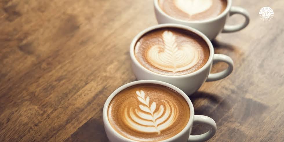 A influência do solo, clima e altitude no sabor do café especial