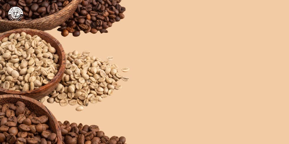 Curiosidades do Café Especial: Descubra os Segredos das Torras