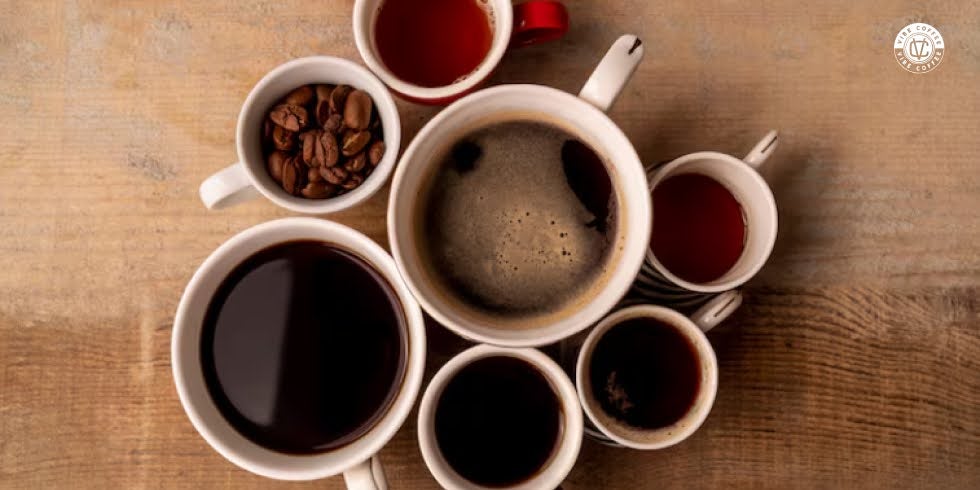 Curiosidades do Café Especial: Descubra os Segredos das Torras