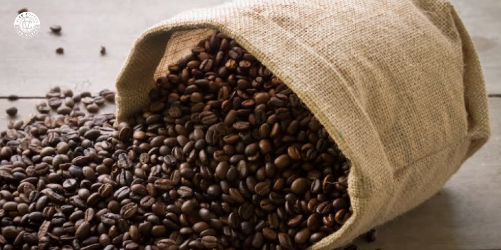 Como Armazenar Café Especial para Preservar Frescor e Aroma