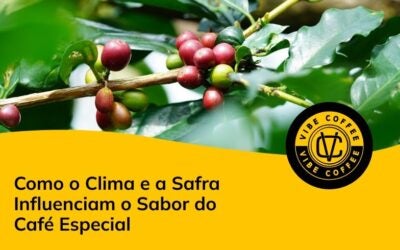 Como o Clima e a Safra Influenciam o Sabor do Café Especial