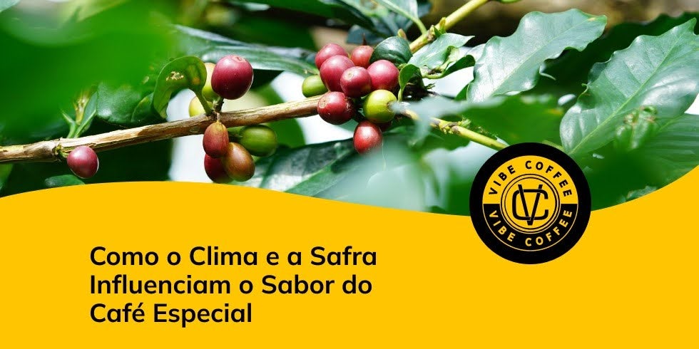 Como o Clima e a Safra Influenciam o Sabor do Café Especial